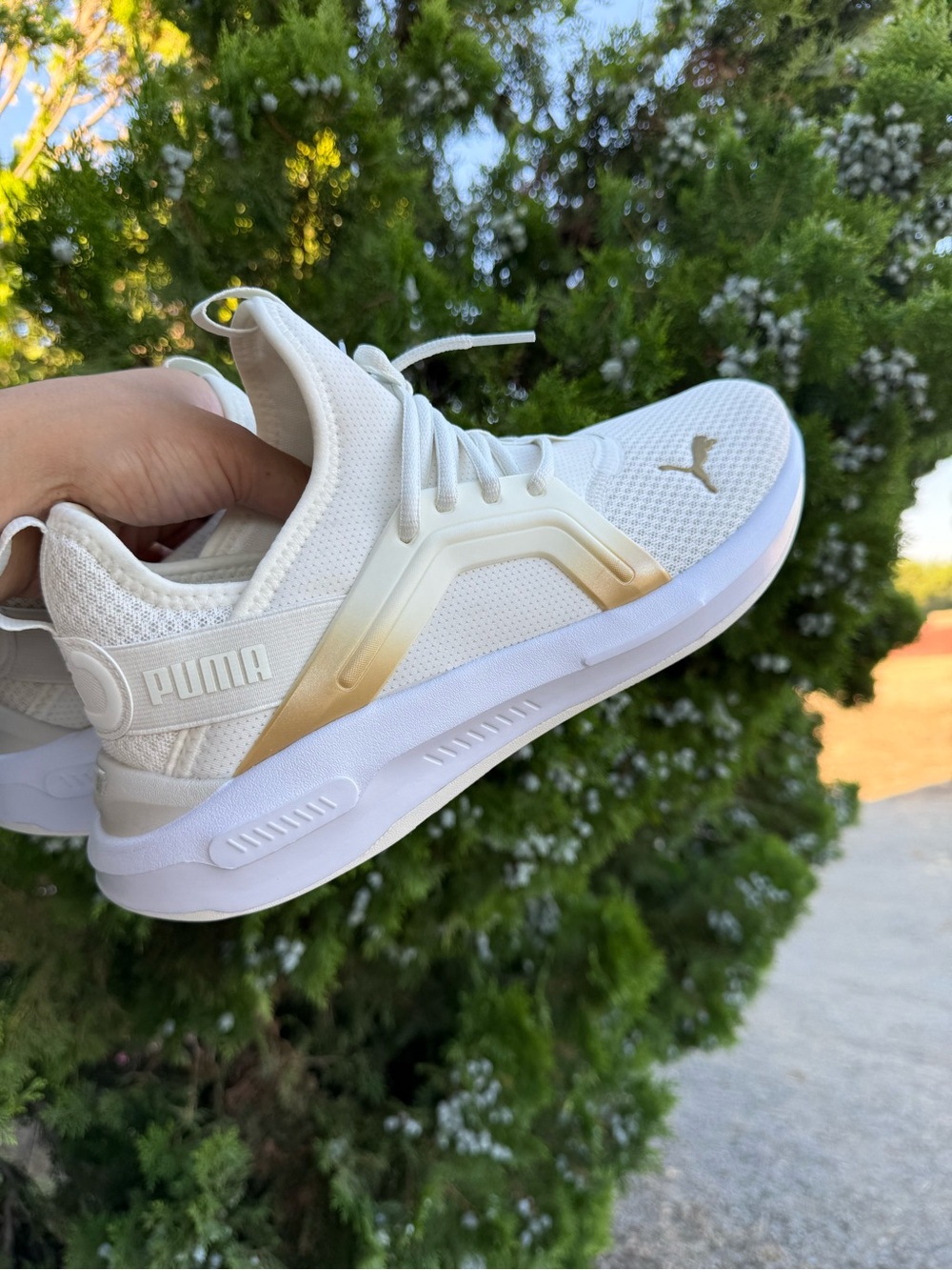 PUMA Softride Enzo 5 Metallic (Women's) 9 NWOT